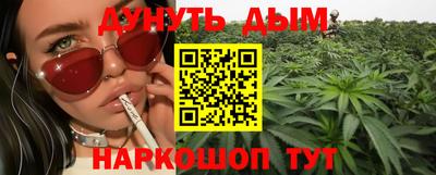 стафф Новодвинск