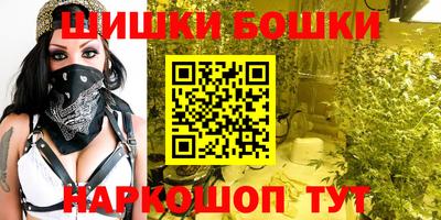 стафф Новодвинск
