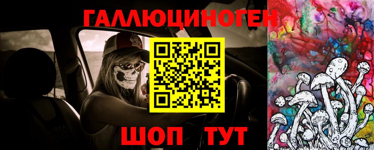 Галлюциногенные грибы Psilocybe Осинники