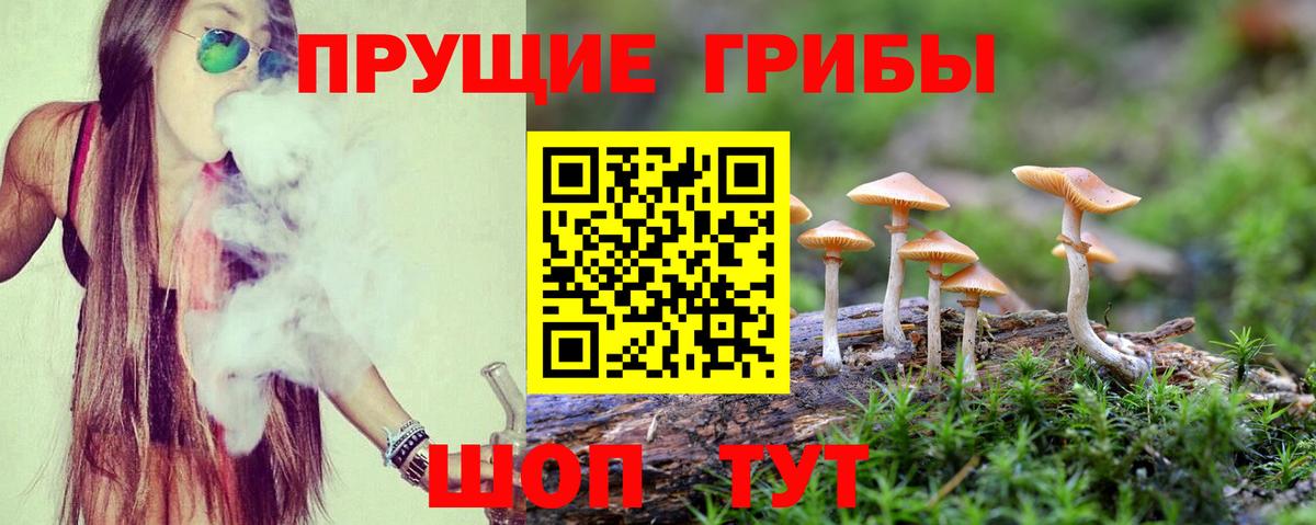 Осинники  Псилоцибиновые грибы Cubensis  Вход с VPN 